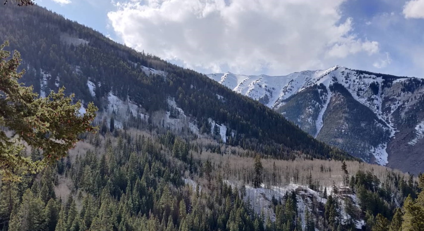 Aspen mountain